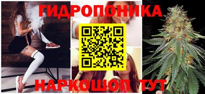 ГАЛЛЮЦИНОГЕННЫЕ ГРИБЫ Гусиноозёрск