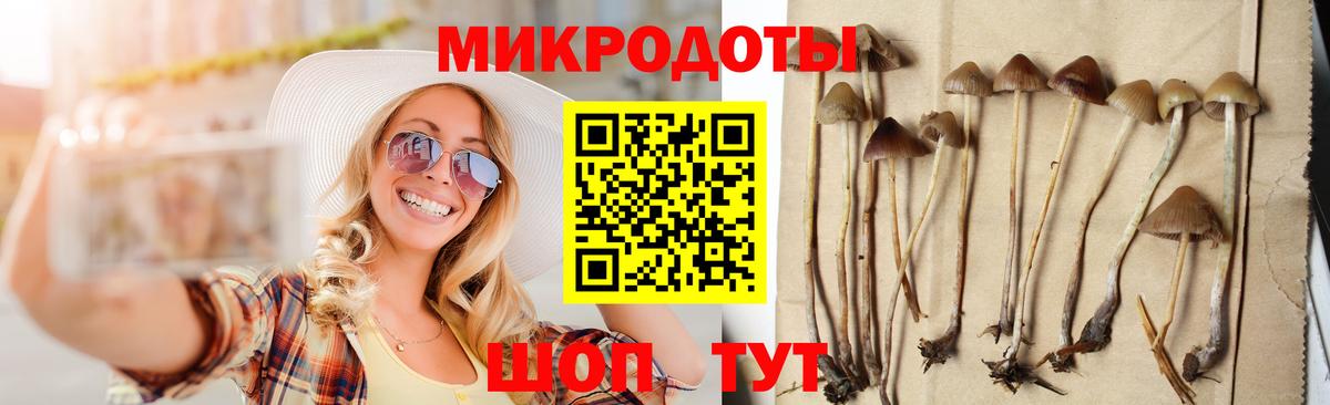 Железноводск  Галлюциногенные грибы мицелий  Вход с VPN 